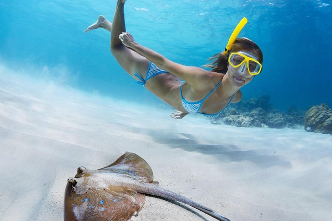 St Thomas~St John Snorkel, Swim & Beach Trip on MV Island Flyer - What You Might See Below the Surface