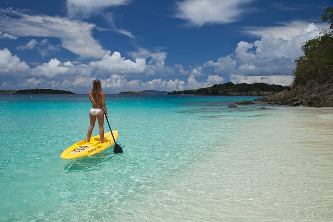 Stand Up Paddleboard Rental in St Thomas - Wildlife in the shallows