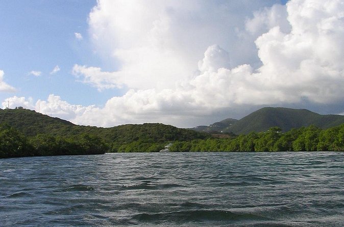 Stand Up Paddleboard Rental in St Thomas - Why the week-long option can be worthwhile