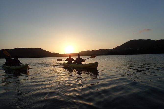 Sunset Kayak Tour in the Mangrove Lagoon, St Thomas - Why the guides make a difference