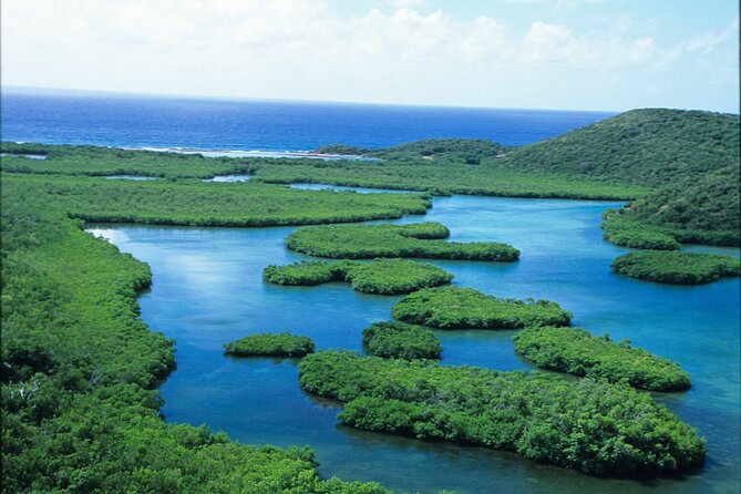 Sunset Kayak Tour in the Mangrove Lagoon, St Thomas - Golden hour, sunset and the changing light