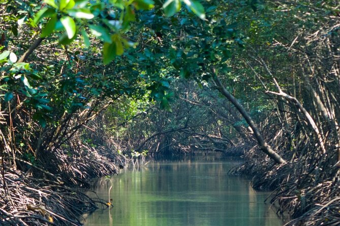 Sunset Kayak Tour in the Mangrove Lagoon, St Thomas - Practical details that affect your evening