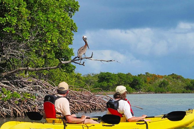 Sunset Kayak Tour in the Mangrove Lagoon, St Thomas - A gentle paddle through the mangrove channels