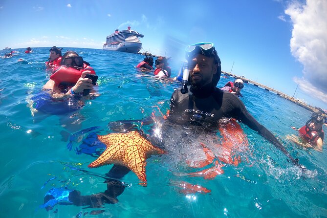 The Frederiksted St. Croix Sea Turtles Snorkeling Tour - Sea turtles are the main event