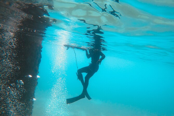 The Frederiksted St. Croix Sea Turtles Snorkeling Tour - What the $89 price really includes