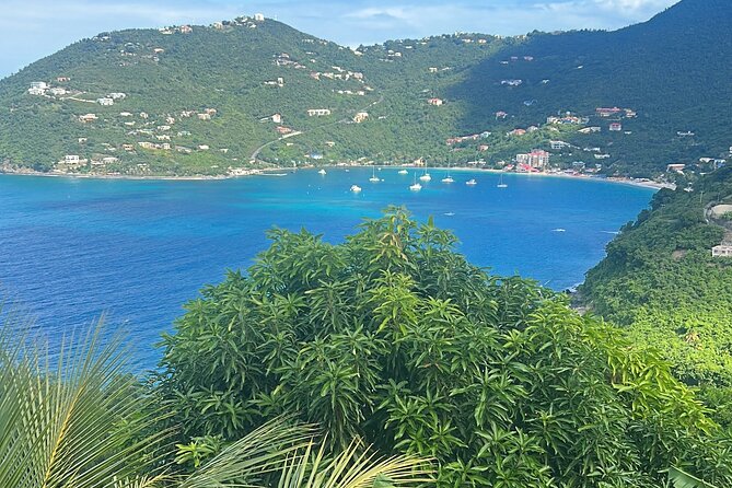 Tortola Private Beach Hopper Tour - The guide makes the experience personal