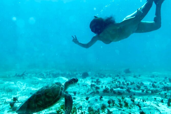 Tortola Private Tour and Snorkeling in the most beautiful beaches - A private way to see more of Tortola in less time