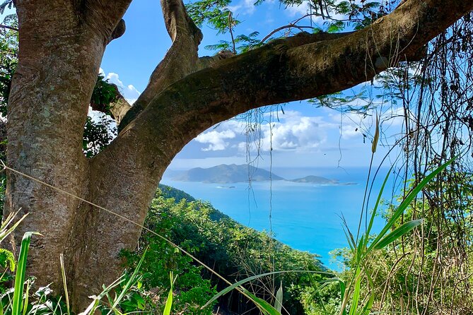 Tortola Private Tour and Snorkeling in the most beautiful beaches - Vehicle details matter for groups of five or more