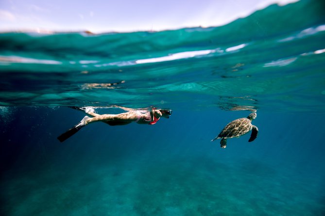 Turtle Cove Catamaran Snorkel and Sail at Little Buck Island STT - The essential facts at a glance