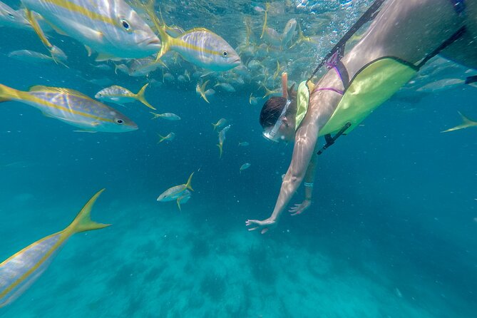 Turtle Snorkel Sail on Buck Island from Frenchman's Reef - Setting sail from Frenchman’s Reef at 10 a.m.