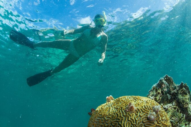Turtle Snorkel Sail on Buck Island from Frenchman's Reef - Who will enjoy this catamaran trip most?
