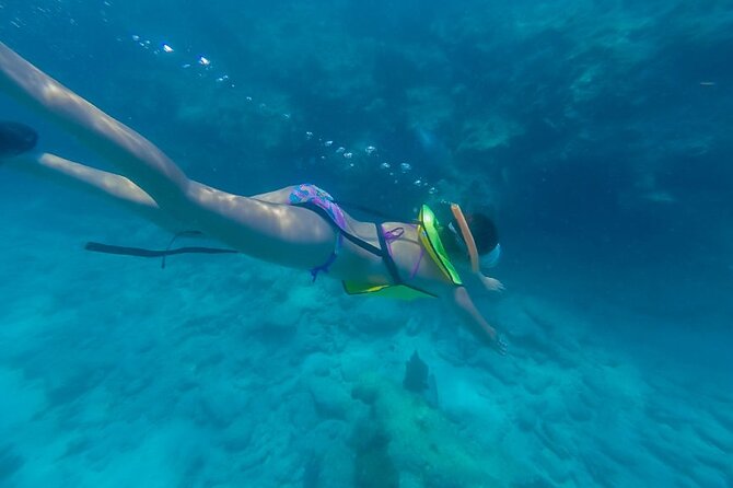 Turtle Snorkel Sail on Buck Island from Frenchman's Reef - Buck Island snorkeling with turtles
