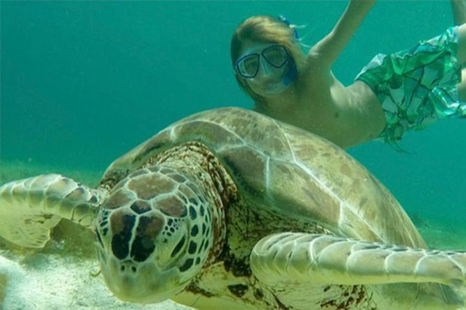 Turtles, Pizza Pi & Sunset trip - Sailing past Cinnamon Bay and Trunk Bay