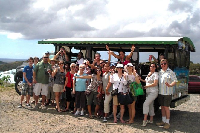 Two-Hour Sightseeing Excursion - Charlotte Amalie from the road and the hills
