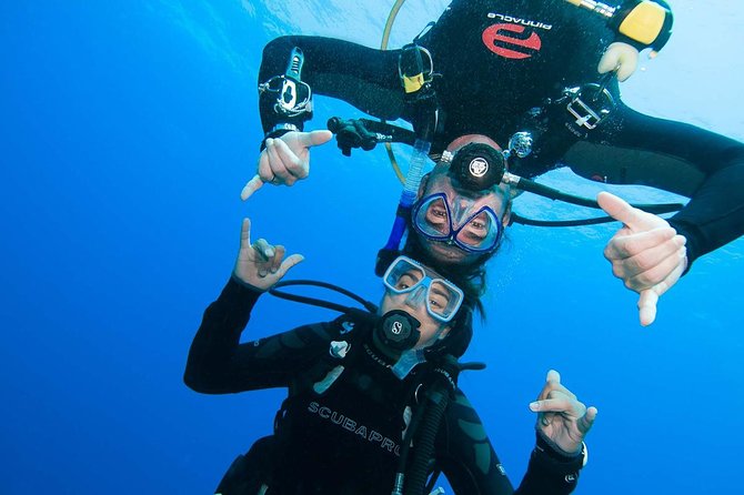 Two-Tank Dive for Certified Diving in St Thomas - Meeting the crew at Saga Haven Marina