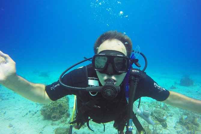 Two-Tank Dive for Certified Diving in St Thomas - The kind of guide support you can expect