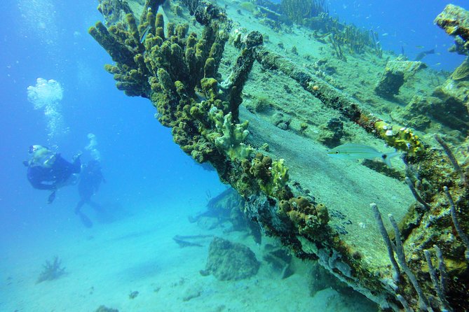 Two-Tank Dive for Certified Diving in St Thomas - Weather, cancellations, and scheduling risks