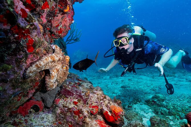 Two-Tank Morning Dive Trip for Certified Divers - The guides make the largest difference