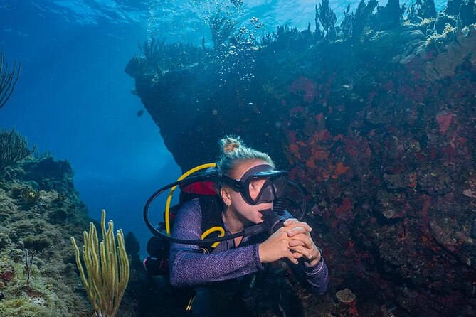 Two-Tank Morning Dive Trip for Certified Divers - Equipment, comfort, and group size