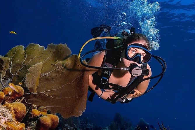 Two-Tank Morning Dive Trip for Certified Divers - Is $180 a fair price?