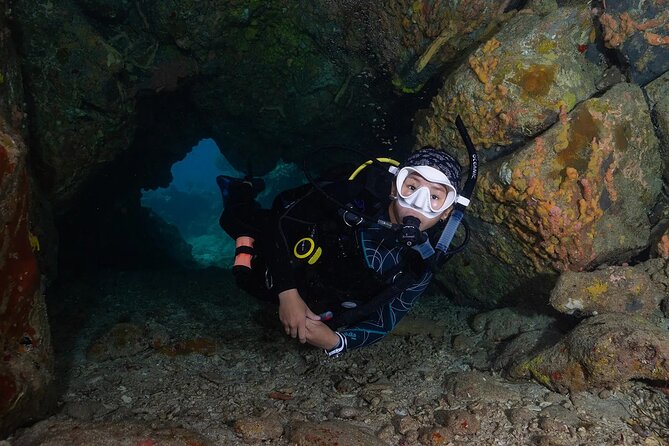 Two-Tank Morning Dive Trip for Certified Divers - Who will enjoy this morning most?