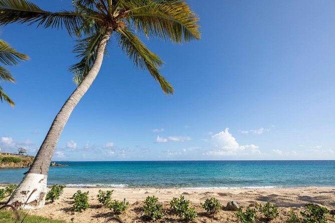 Vi Top Taxi & Tours -Airport Transfer to Bolongo Bay/ Limetree - What the $110 group price really buys