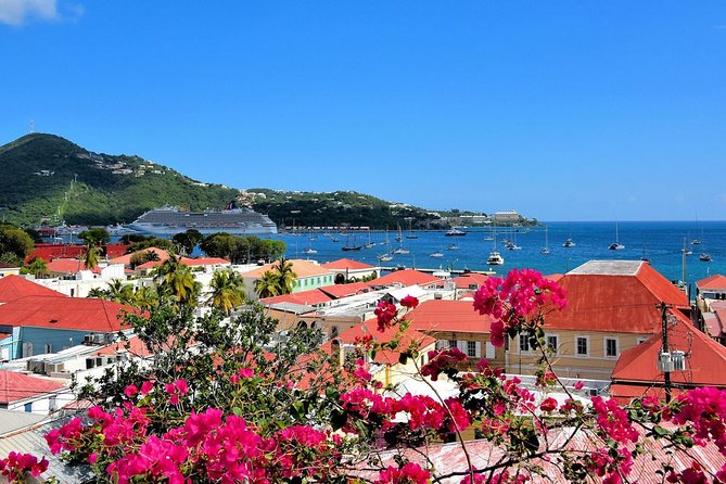 Vi Top Taxi &Tours USVI-St Thomas Private Group-Island Tour - What the drivers add to the day