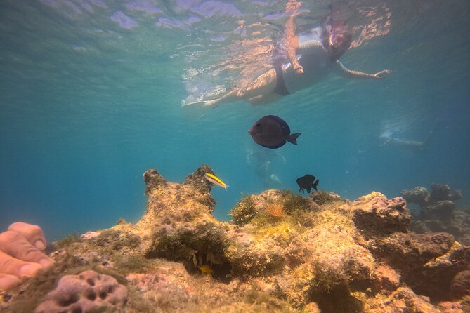 Visit Secret beaches and enjoy private guided Snorkel tour - A private way to see more of Tortola