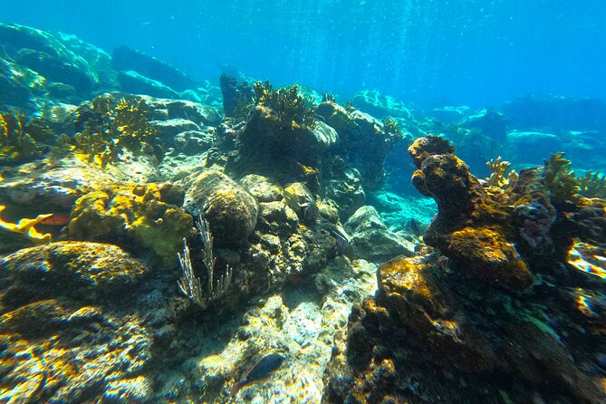 Visit Secret beaches and enjoy private guided Snorkel tour - What is included, and what you still need